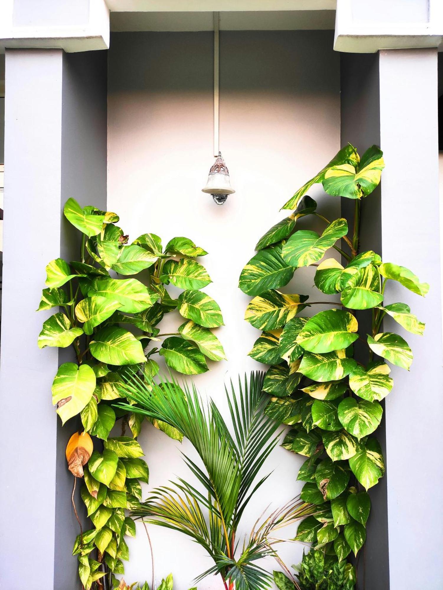 Mango Tree Villa Kochi Екстериор снимка